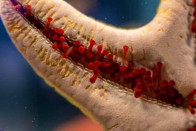 Tissue Repair & Recovery